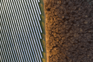 Aerial view of solar farm