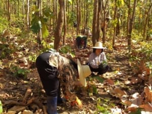 Locals plant trees for Taylor Hopkinson & Brunel as part of their ESG commitment.