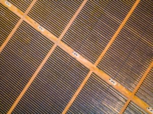 Aerial view of solar farm in Australia