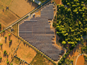 An aerial view of a solar pv farm. Taylor Hopkinson specialises in connecting solar and storage experts to pioneering projects globally.